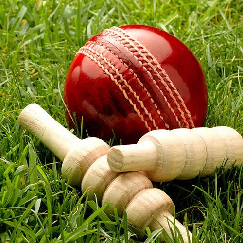Batting Gloves – Protection, Comfort & Grip Explained | AS Sports AS Sports