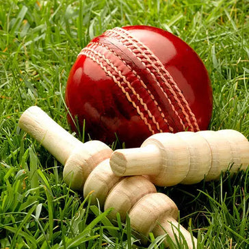 Batting Gloves – Protection, Comfort & Grip Explained | AS Sports AS Sports