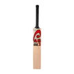 AS Sports English Willow Cricket Bat - ONE.1 | Premium Quality Cricket Bat AS Sports