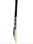 AS English Willow Cricket Bat - GOLD