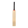 AS Sports K3 Simple Tape Ball Cricket Bat | Lightweight Bat for Street & Tape Ball Cricket AS Sports