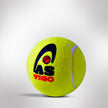 VIGO Tennis Cricket Ball - 3Pcs/Pet Can