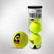 VIGO Tennis Cricket Ball - 3Pcs/Pet Can